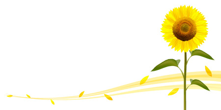 Sunflower flower backgroundのイラスト素材