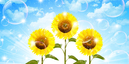 Sunflower sky backgroundのイラスト素材