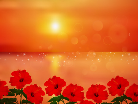 Hibiscus sea backgroundのイラスト素材