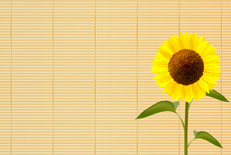 Sunflower summer greeting backgroundのイラスト素材