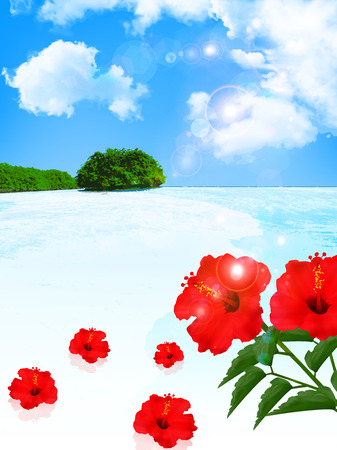 Sea hibiscus backgroundのイラスト素材