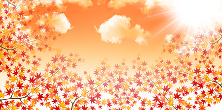 Maple foliage backgroundのイラスト素材