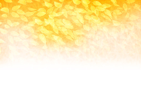 Maple foliage backgroundのイラスト素材