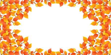 Maple foliage backgroundのイラスト素材