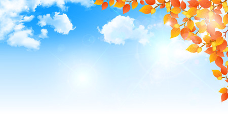 Maple foliage backgroundのイラスト素材