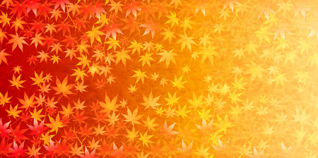 Maple foliage backgroundのイラスト素材