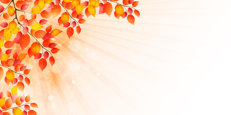 Maple foliage backgroundのイラスト素材