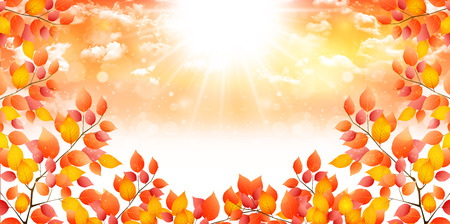 Maple foliage backgroundのイラスト素材