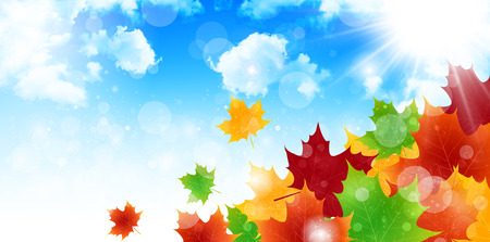 Maple foliage backgroundのイラスト素材