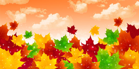 Maple foliage backgroundのイラスト素材