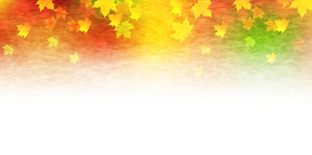 Maple foliage backgroundのイラスト素材