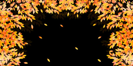 Maple foliage backgroundのイラスト素材