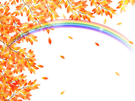 Maple foliage backgroundのイラスト素材