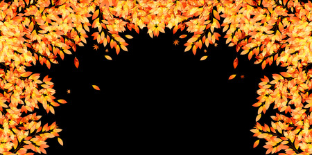 Maple foliage backgroundのイラスト素材
