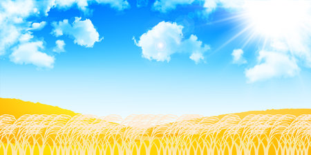 Japanese pampas grass autumn backgroundのイラスト素材