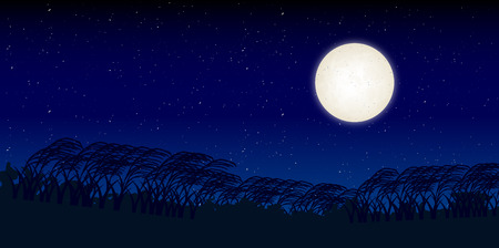 Jugoya pampas grass backgroundのイラスト素材