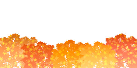 Maple foliage backgroundのイラスト素材