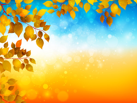 Maple foliage backgroundのイラスト素材