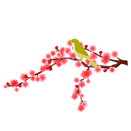Plum flower iconのイラスト素材