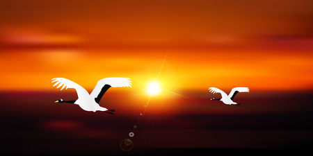 Rooster crane sunrise backgroundのイラスト素材