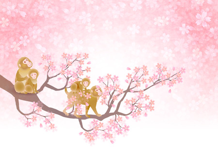 Monkey greeting cards cherry backgroundのイラスト素材