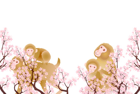 Monkey greeting cards cherry backgroundのイラスト素材