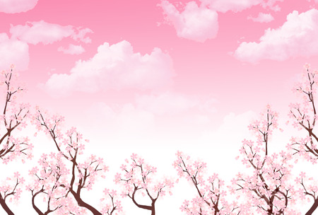 Spring New Year's card cherry backgroundのイラスト素材