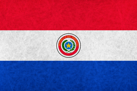 Paraguay national flag country flagのイラスト素材