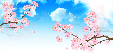 Spring cherry blossom backgroundのイラスト素材