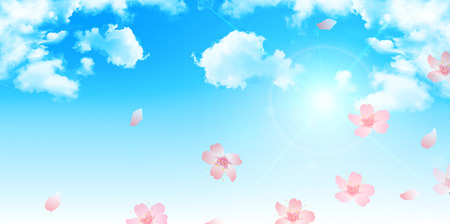 Spring cherry blossom backgroundのイラスト素材