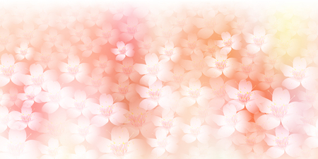 Spring cherry blossom backgroundのイラスト素材