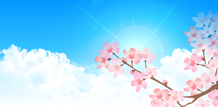 Sky cherry tree landscape backgroundのイラスト素材