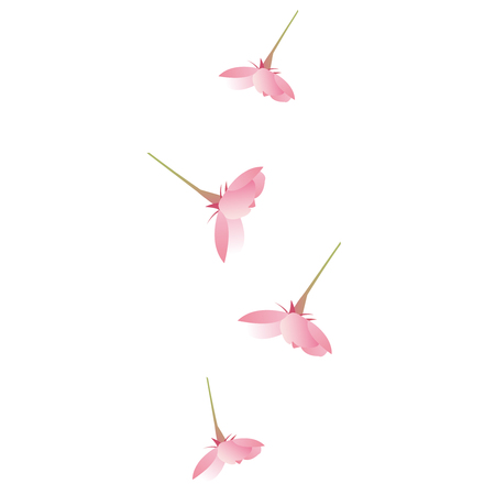 Cherry spring flower backgroundのイラスト素材