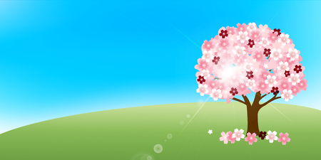 Cherry spring flower backgroundのイラスト素材