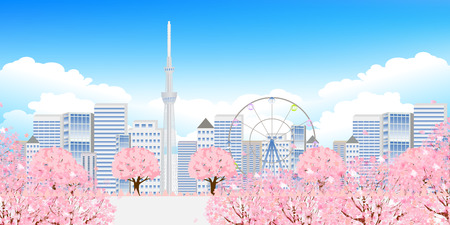 Cherry Tokyo Spring backgroundのイラスト素材