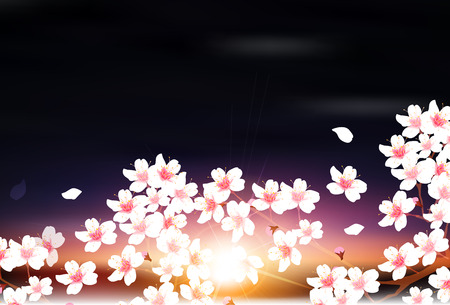 Cherry spring flower backgroundのイラスト素材