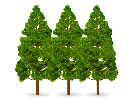 Cedar pollen tree iconのイラスト素材