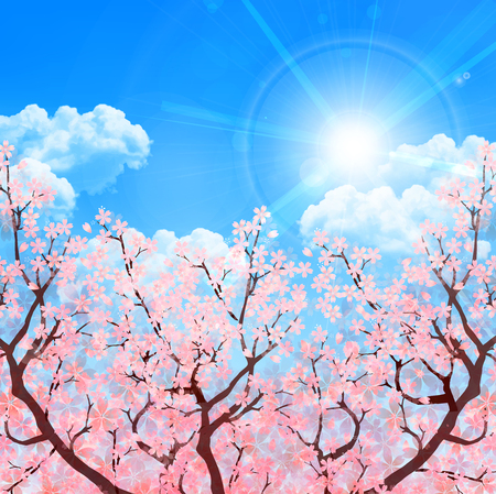 Cherry spring flower backgroundのイラスト素材