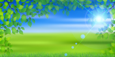 Fresh green leaf tree backgroundのイラスト素材