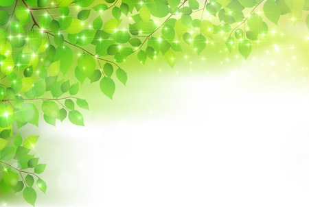 Fresh green leaf tree backgroundのイラスト素材