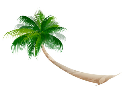 Palm summer tropical iconのイラスト素材