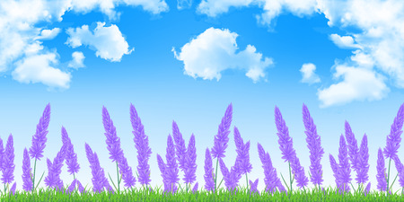 Lavender flower landscape backgroundのイラスト素材