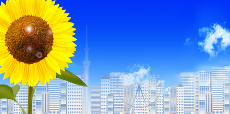 Sunflower summer landscape backgroundのイラスト素材