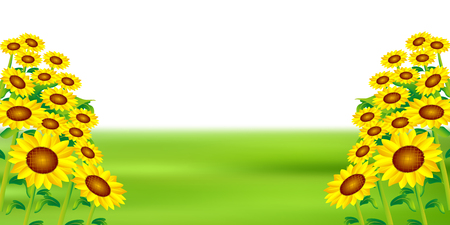 Sunflower summer landscape backgroundのイラスト素材
