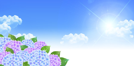 Hydrangea rainy season landscape backgroundのイラスト素材