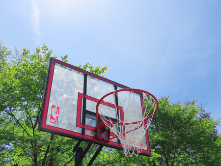 Basket tree fresh green backgroundのeditorial素材
