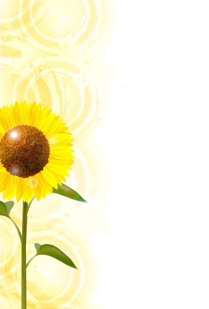 Sunflower summer summer greeting backgroundのイラスト素材