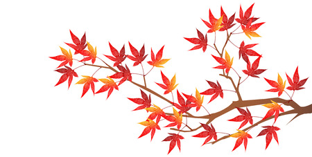 Fall autumn leaves landscape backgroundのイラスト素材