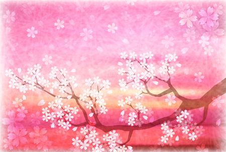 Cherry Spring Japanese paper backgroundのイラスト素材