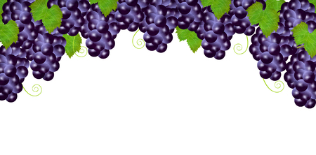 Grape fruit autumn backgroundのイラスト素材